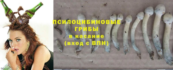 твердый Алзамай